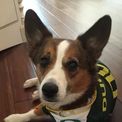 Kirby in an Oregon jersey